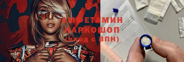 индика Вязники