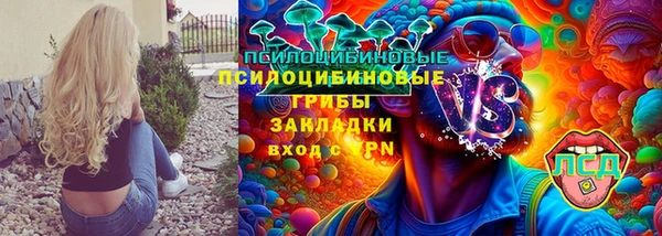 индика Вязники